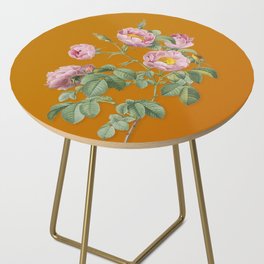 Vintage Tomentose Rose Botanical Illustration on Bright Orange Side Table