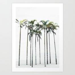 Palm Trees 12 Art Print