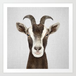 Goat - Colorful Art Print