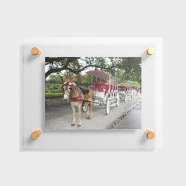 New Orleans Carriage Ride Floating Acrylic Print