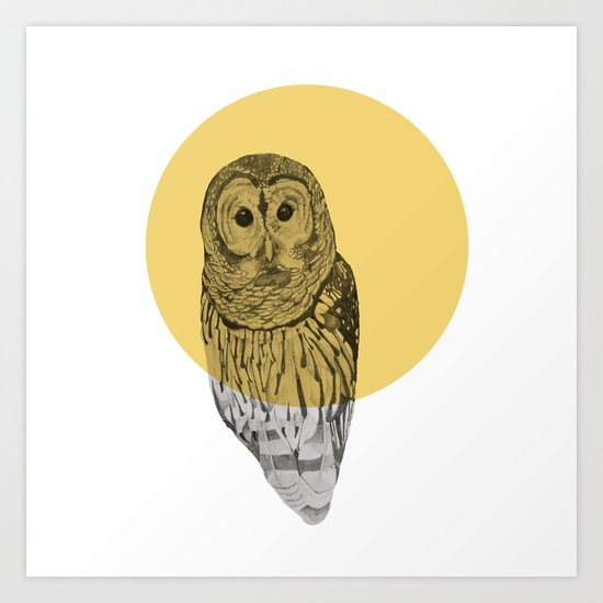 owl Art Print