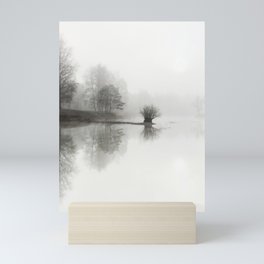 Foggy lake in the forest | forest in the Netherlands, nature photography | Landscape art print Mini Art Print