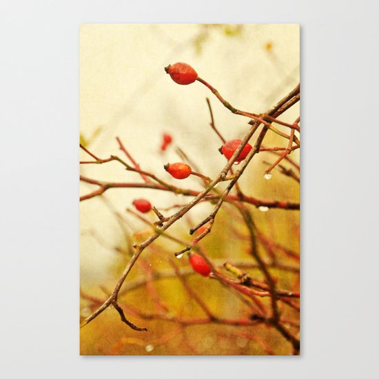 vintage rosehips Canvas Print