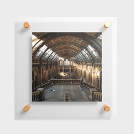 Great Britain Photography - Fascinating History Museum In London Floating Acrylic Print