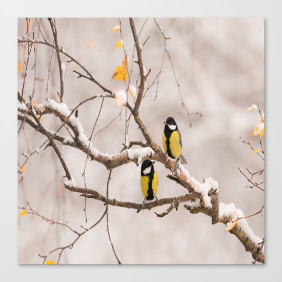 Lovely Songbirds on a Snowy Branch Canvas Print