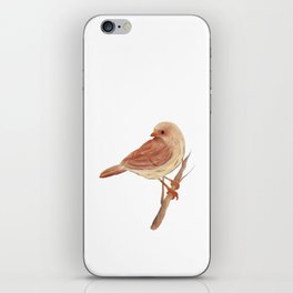 light brown colored bird, digital painting iPhone Skin