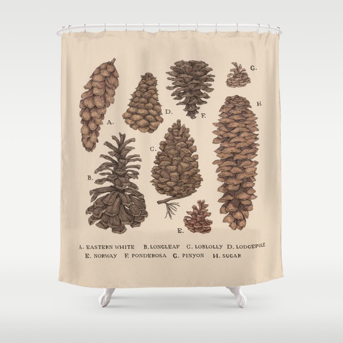 Pinecones Shower Curtain By Jessicaroux Society6