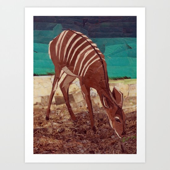 Nyala Art Print