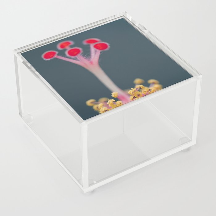 Sweet Song of Hibiscus Acrylic Box