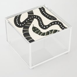 Snakes Acrylic Box