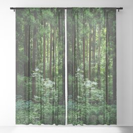 Green Forest Sheer Curtain