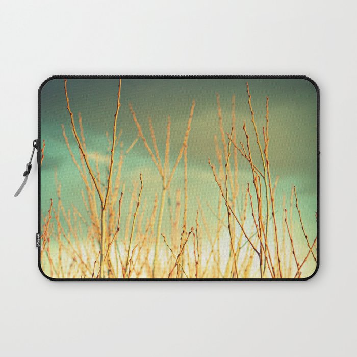 Wind in the Willows Laptop Sleeve