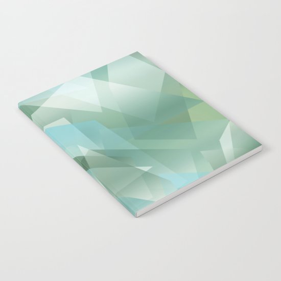 Abstract 219 Notebook