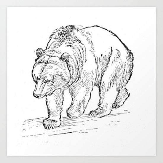 Bear Art Print
