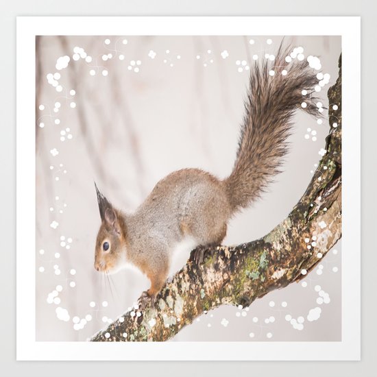 Little squirrel jumping on the branch Art Print