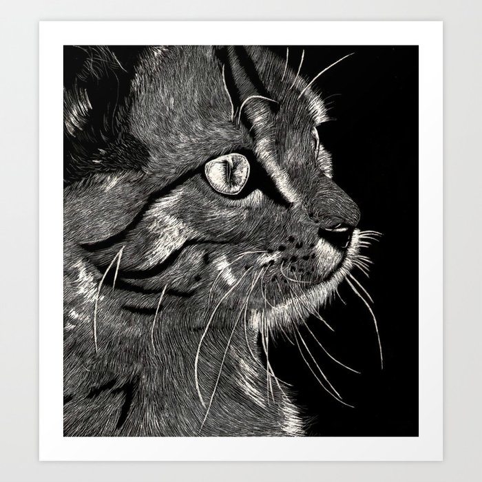 Cat Scratch  Art Print