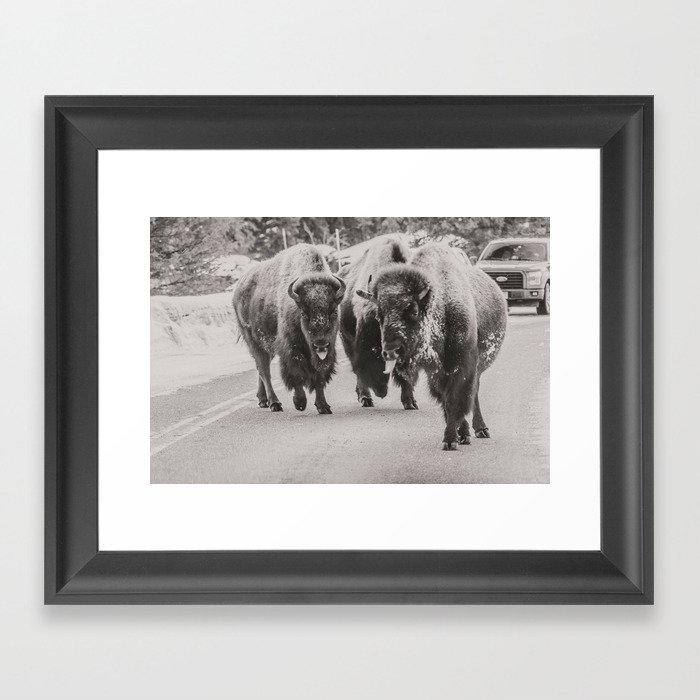 Goofy Bison Framed Art Print