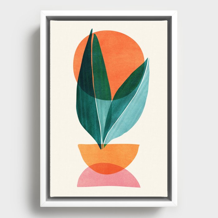 Framed Canvas