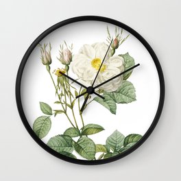 Vintage White Rose of York Botanical Illustration on Pure White Wall Clock