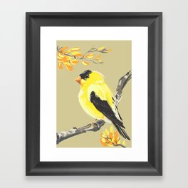 Yellow Finch Framed Art Print