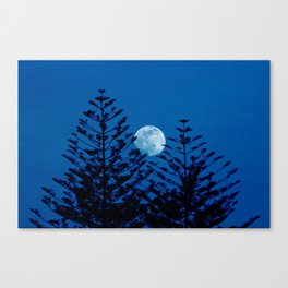 Two Evergreen Trees Night Full Moon Canvas Print