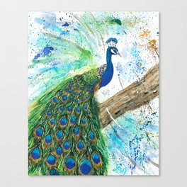 Pretty Peacock Canvas Print