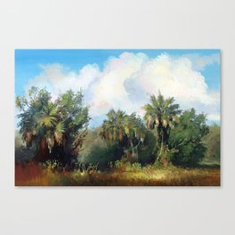 In the Everglades Canvas Print