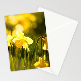 Spring Daffodils - Outdoor - Beautiful bokeh #decor #society6 #buyart Stationery Card