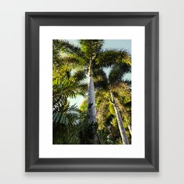Palm Tree Garden Framed Art Print
