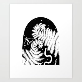 The Fern and the Moth Art Print