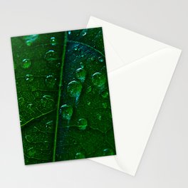 Green Bubbles Stationery Cards