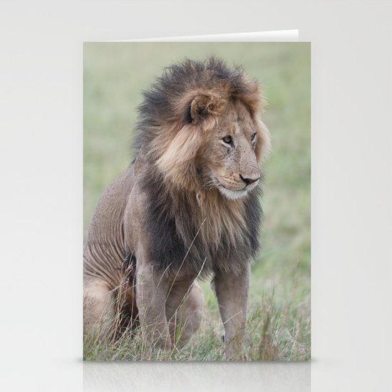 Lion Stationery Cards