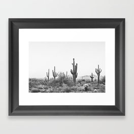 ARIZONA DESERT VI / Scottsdale Framed Art Print