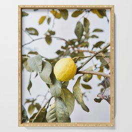 Cute lemon tree in spring | Nature photography art print | Travel photography Spain Serving Tray