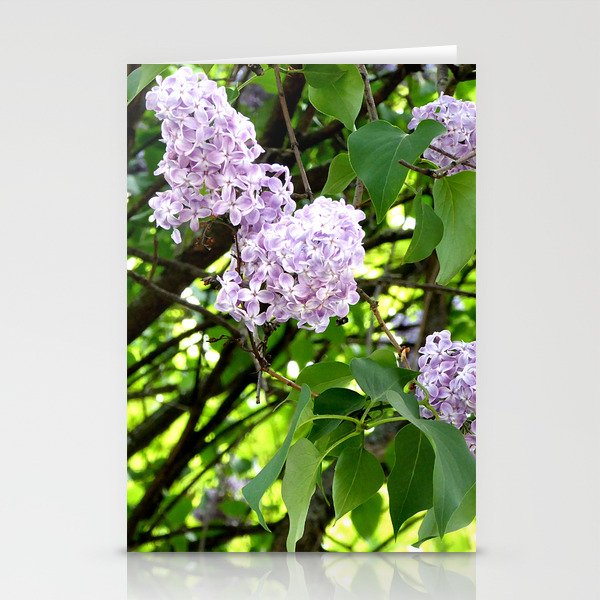 Blooming Lilacs photo Stationery Cards
