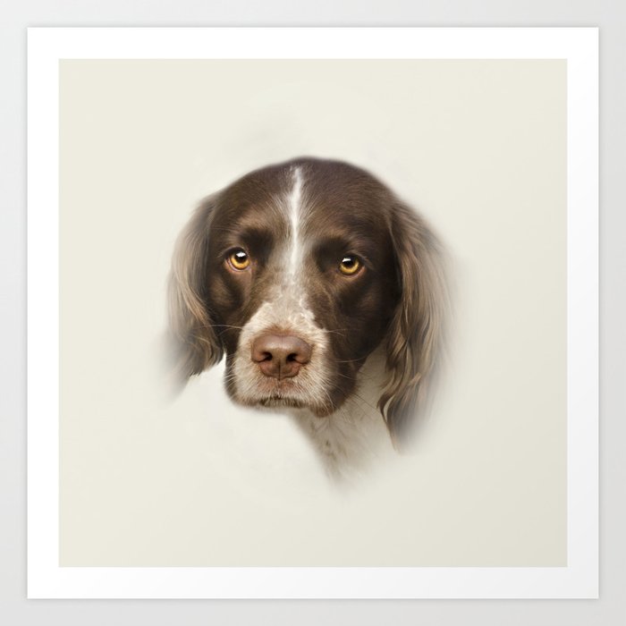 english-springer-spaniel-art-print-by-linseywilliams-society6