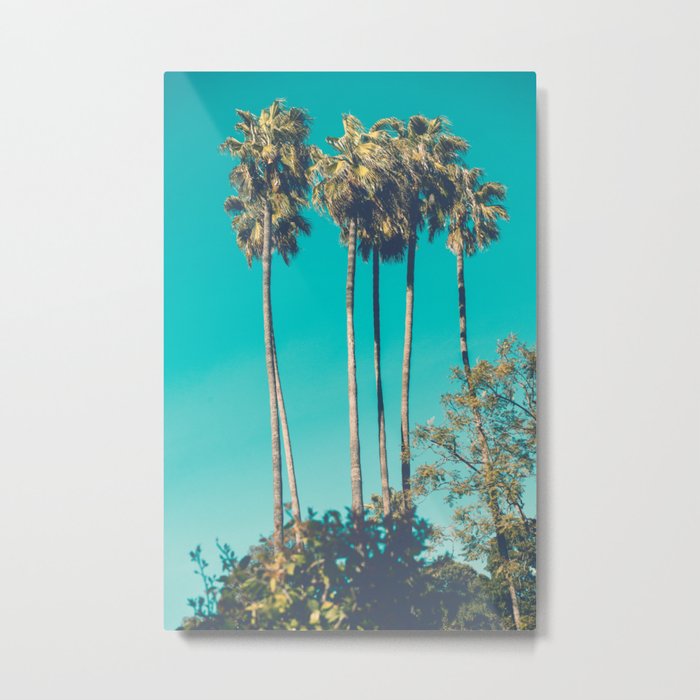 A Few Turquoise Palms Metal Print