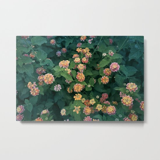 Mediterranean Flowers Metal Print