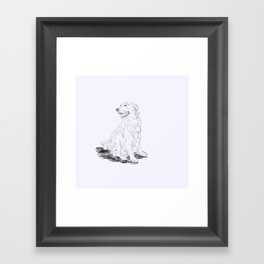 Golden Retriever Framed Art Print