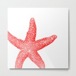 Coral Starfish Metal Print | Starfishpillow, Starfishdecor, Square, Other, Coralandwhite, Homedecor, Coral, Starfish, Digital, Painting 