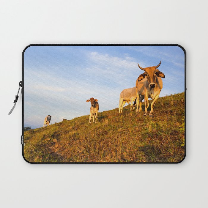 Mama and Baby Cows Stare Laptop Sleeve