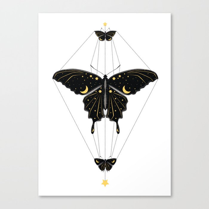 Butterfly Universe Canvas Print