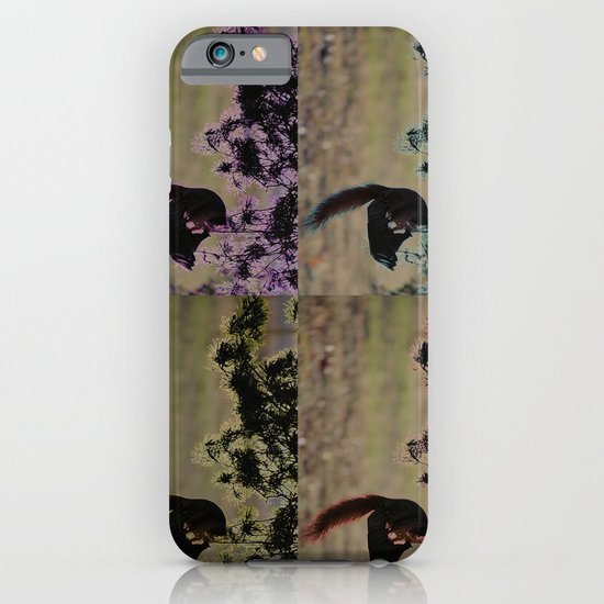 Greedy Squirrel II iPhone & iPod Case