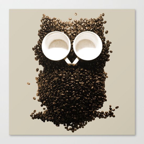 Hoot! Night Owl! Canvas Print