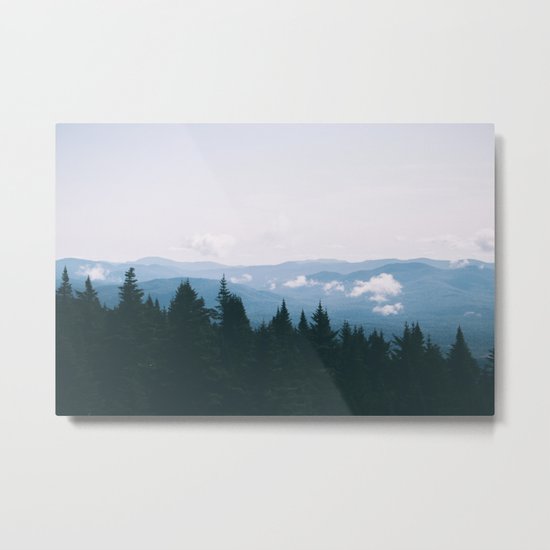 Forest XXIII Metal Print