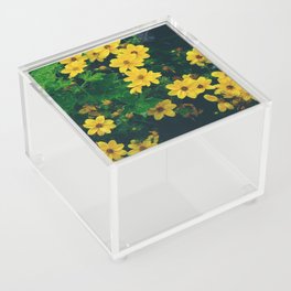 Pattern of tickseeds, comely coreopsis, daisy-like yellow flowers Acrylic Box