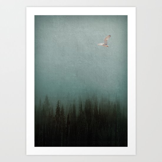 Look to the North Art Print
