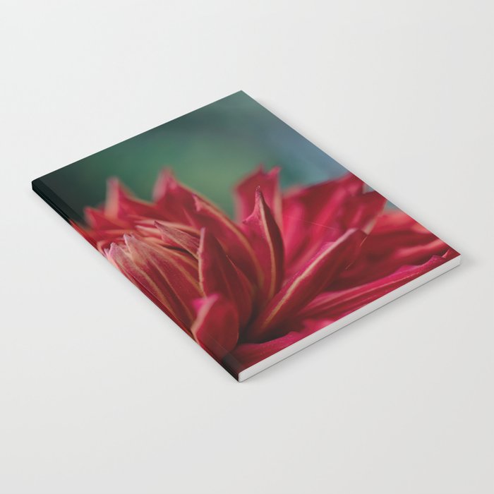 Perfect Red Dahlia Cooper Blaine Notebook