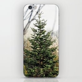 Under The Hoar Line iPhone Skin