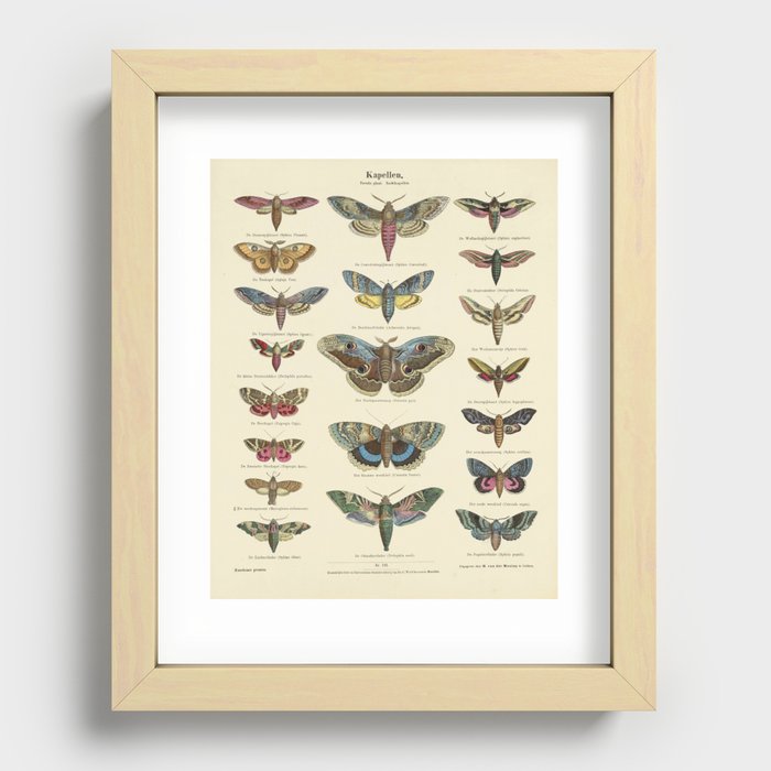 Recessed Framed Print